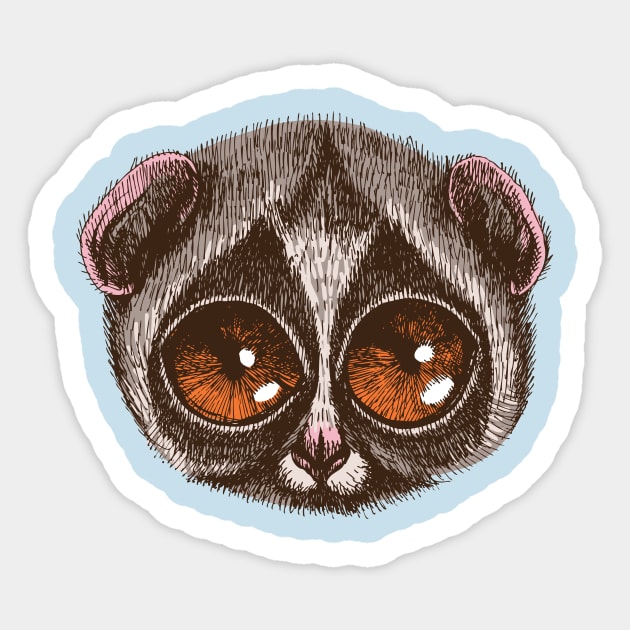 Slow Loris Sticker by AnimalsFashion